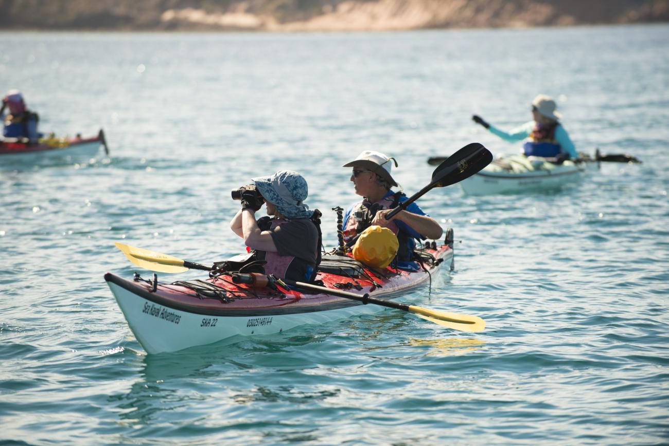 Sea Kayaking La Paz