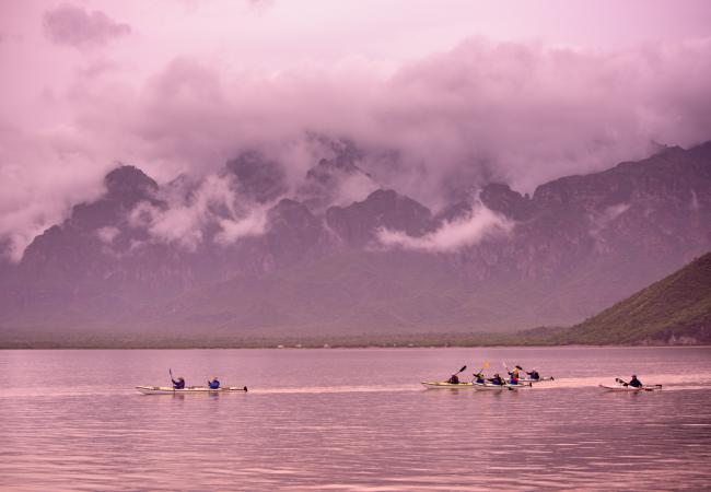 Sea Kayaking & Whale Watching Loreto